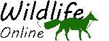 Wildlife Online Logo