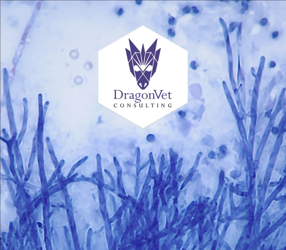 DragonVet graphic showing their logo on a photo of cells taken by a microscope