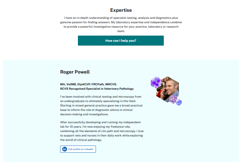 Detail from the website showing a short bio of the owner, Roger Powell