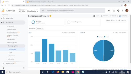 Bar chart and pie chart showing user demographics
